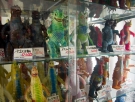 japan-fukuoka-mandarake-24